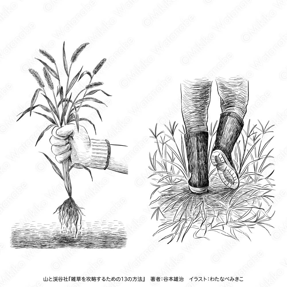 雑草のイラスト